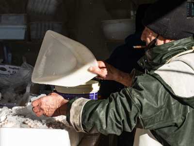 Qui infatti � ancora possibile acquistare pesce fresco di qualit� direttamente dai pescatori, che furono spostati una ventina di anni fa dall�ottocentesca struttura situata in piazza del Ferrarese. Uno �sfratto� vero e proprio per i commercianti, che lamentano ancora oggi il decentramento dell�attivit� e un progressivo calo delle vendite